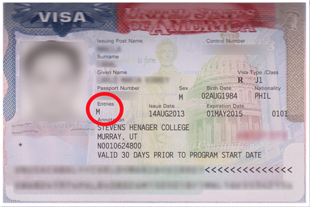 Www visas ru. J1 виза в США. Виза j1. Passport book number виза США. J1 visa.