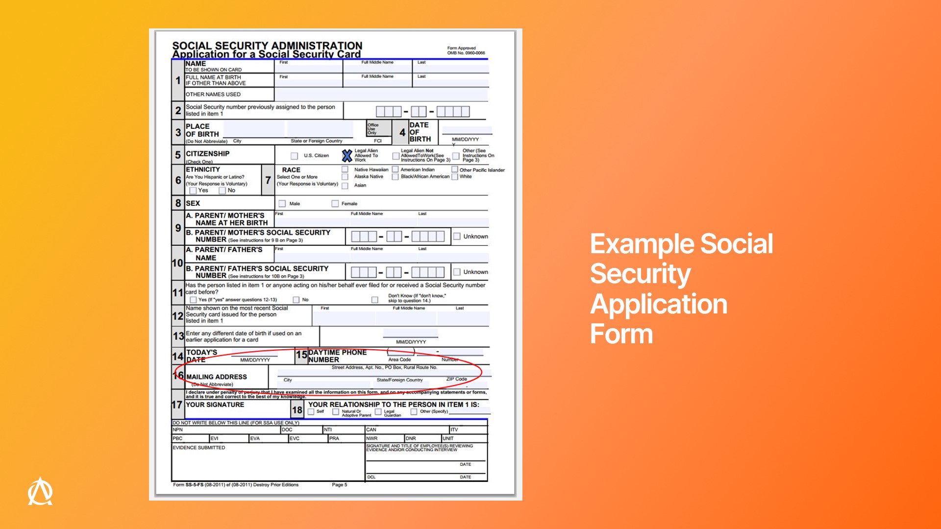 J1 Visa Program