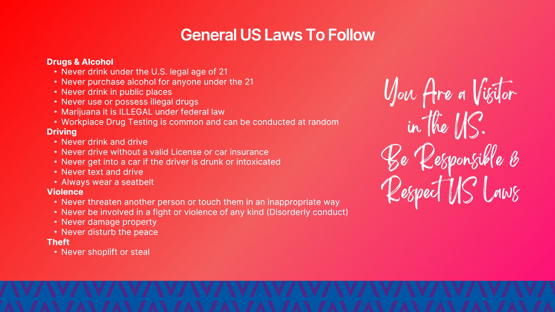 J1 Visa Program
